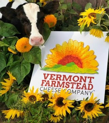 Logo Design Vermont on Governors Cheddar    Garners Accolades    Vermont Farmstead Logo